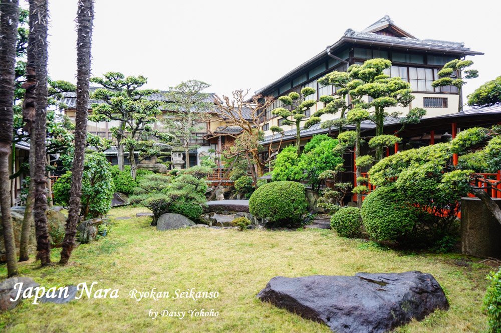 【奈良住宿】靜觀莊 Seikan-so・日式建築/庭園榻榻米民宿/朝食・奈良住宿大推薦! 奈良住宿, 奈良民宿, 奈良住宿推薦, 奈良自助旅行, 奈良自由行, 關西自由行, 靜觀莊