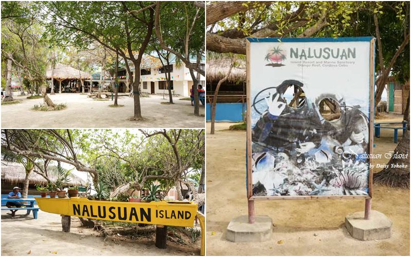 nalusuanisland-43