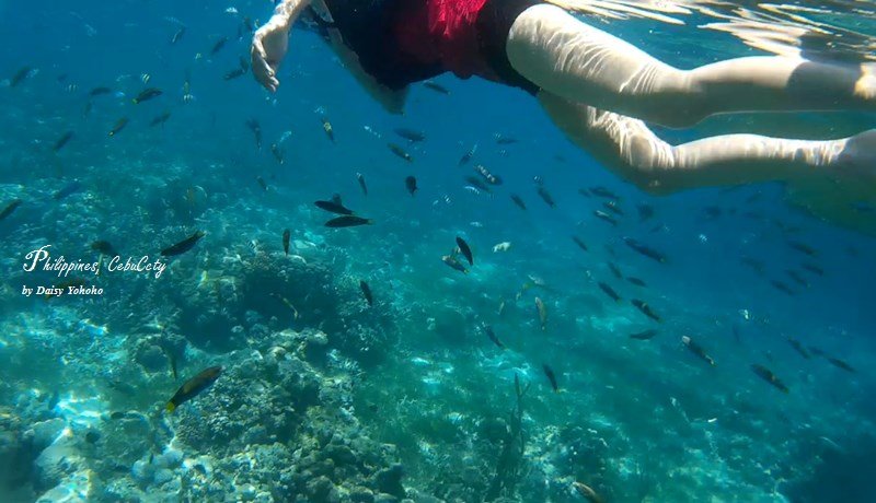 snorkeling9