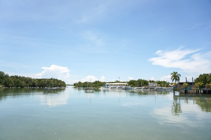 cebumactan-30