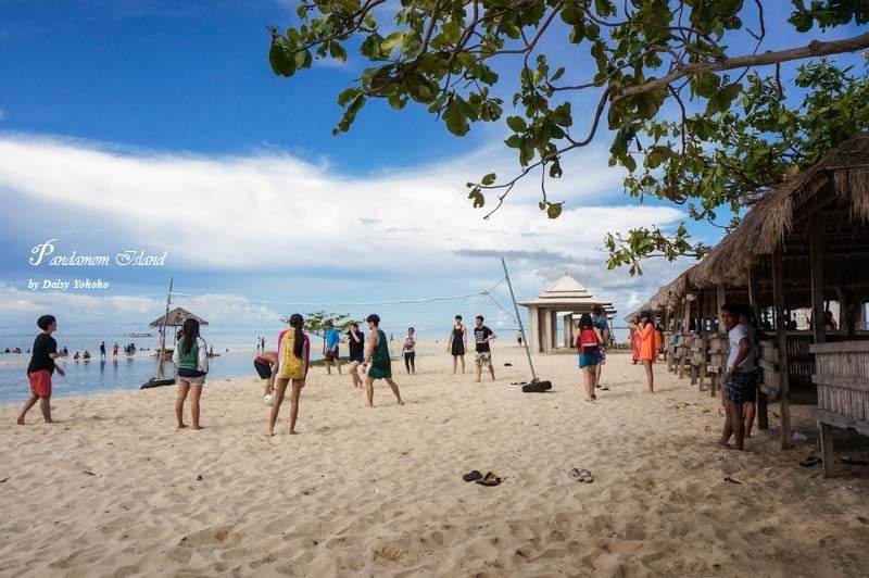 Pandanonisland-10