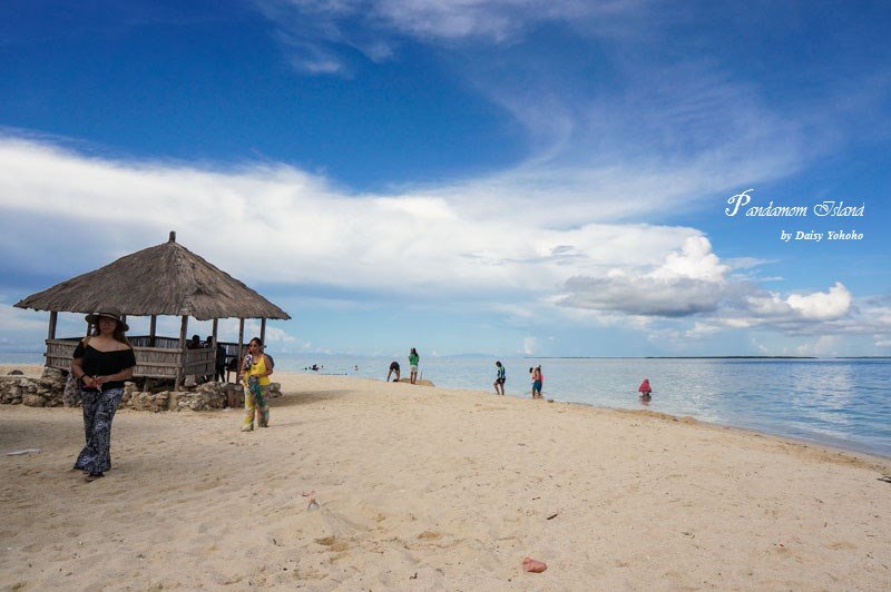 Pandanonisland-17