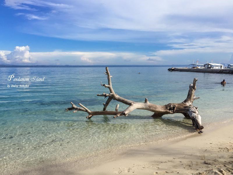 Pandanonisland-33