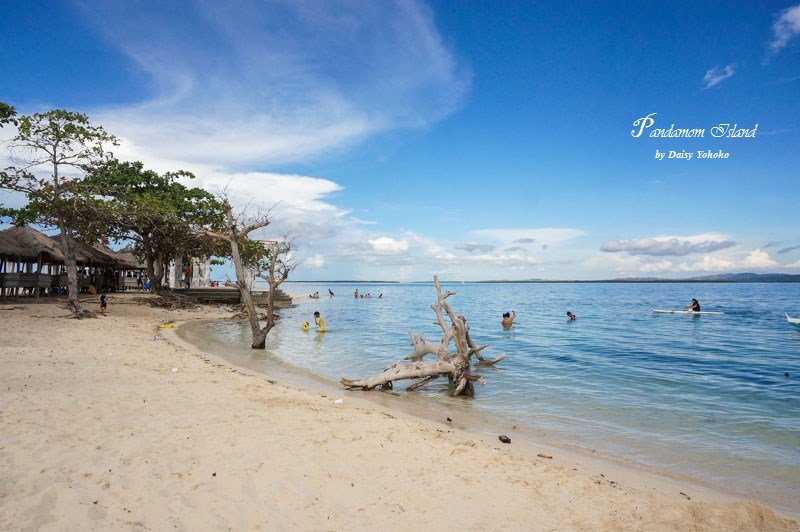 Pandanonisland-8