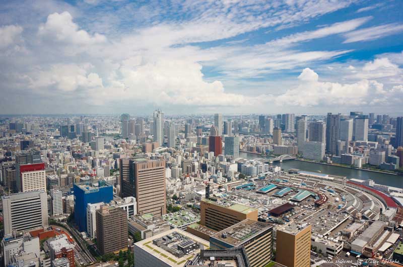 caretta-shidome,東京景點,汐留,烏龜大樓,烏龜汐留,汐留夜景,汐留觀景台,東京夜景